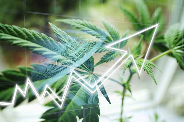 Unlocking the Potential: How 5starsstocks.com Cannabis is Shaping the Industry